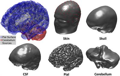 Age-Related EEG Power Reductions Cannot Be Explained by Changes of the Conductivity Distribution in the Head Due to Brain Atrophy